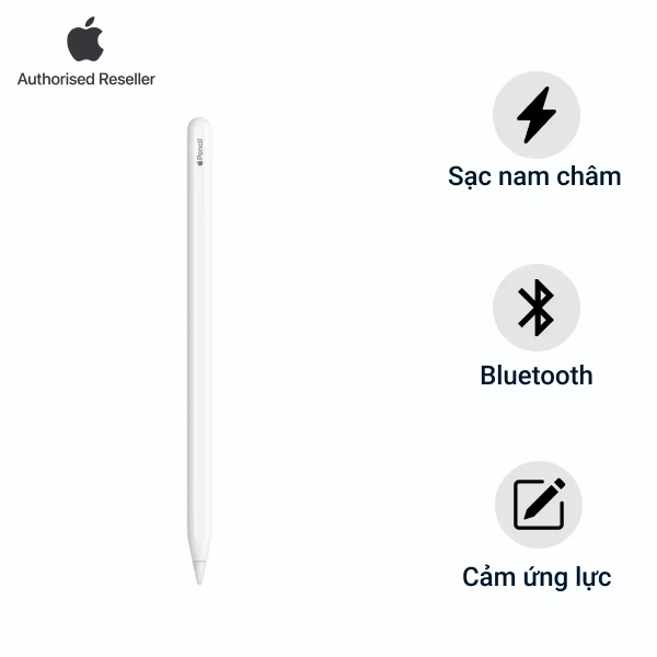 Bút cảm ứng Apple Pencil 2 Công ty